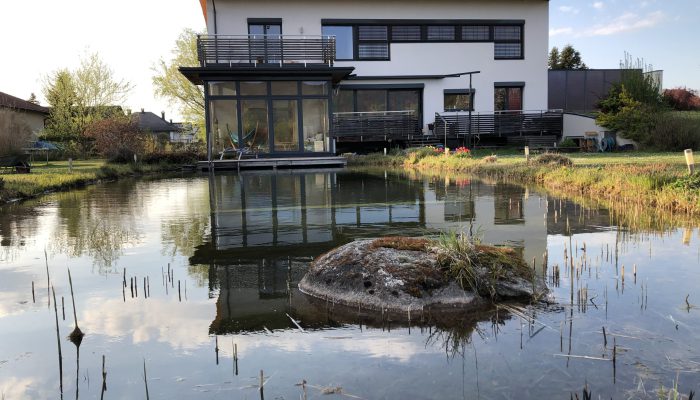 Optimale Planung Schwimmteich